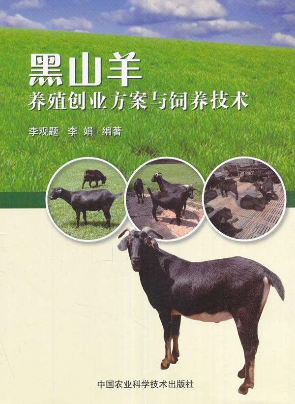 黑山羊养殖创业方案与饲养技术