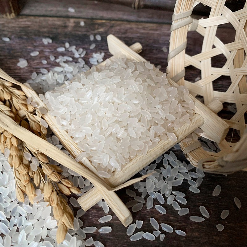 亿米多亿米多 庆安大米  黑龙江大米 厂家直销 当季新米 长粒香180g