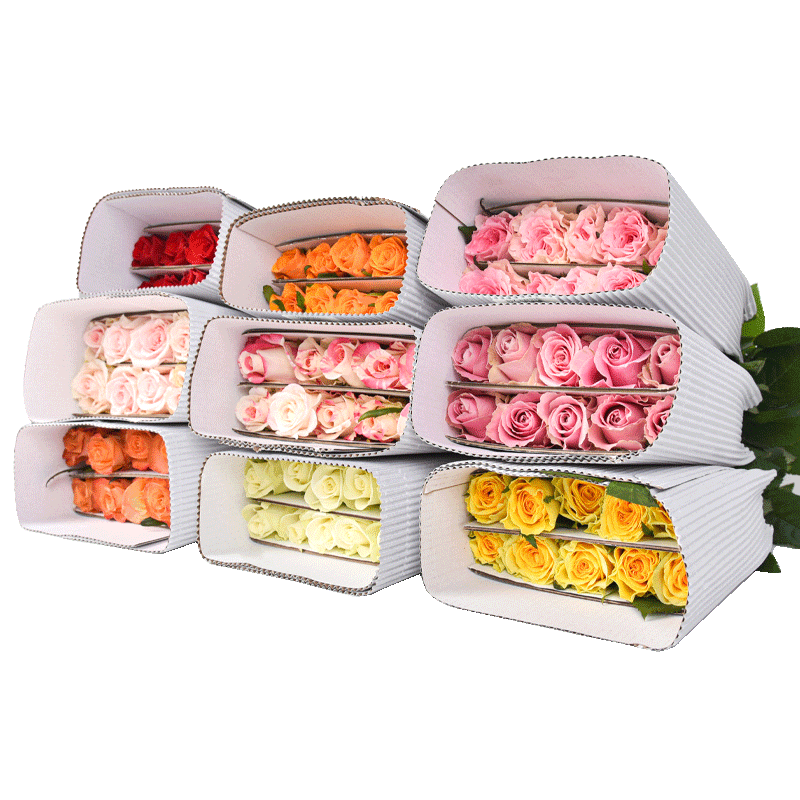 �����ʻ�õ�廨�����ɫ30֦(2-3����ɫ)����������л������Դͷֱ�� 39.9Ԫ