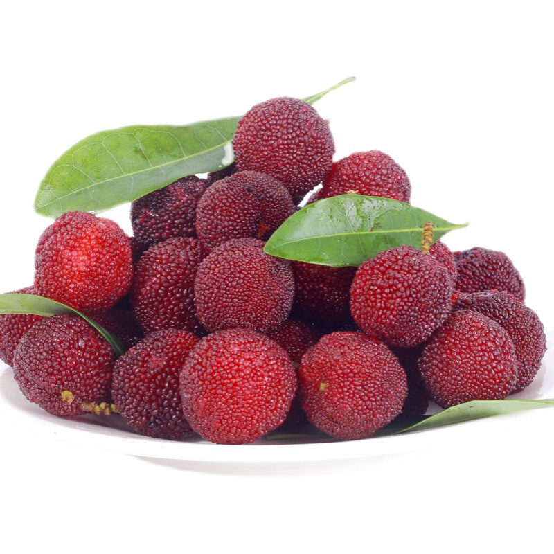 杨梅新鲜当季水果斤应季可泡酒 1500g