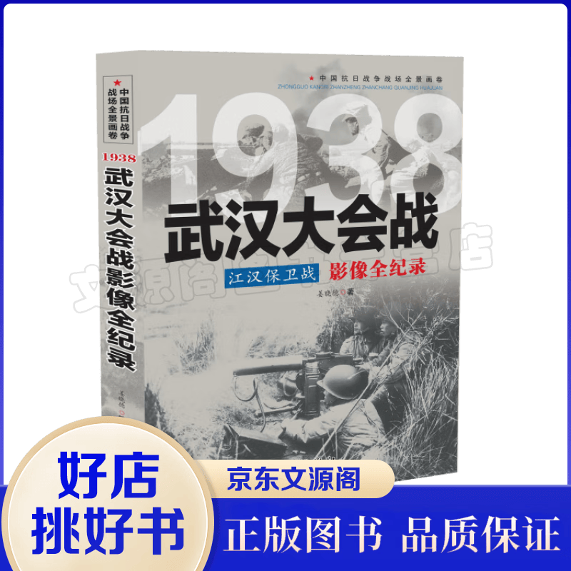 1938 江汉保卫战：武汉大会战影像全纪录 中国抗日战争战场全景画卷 江汉保卫战