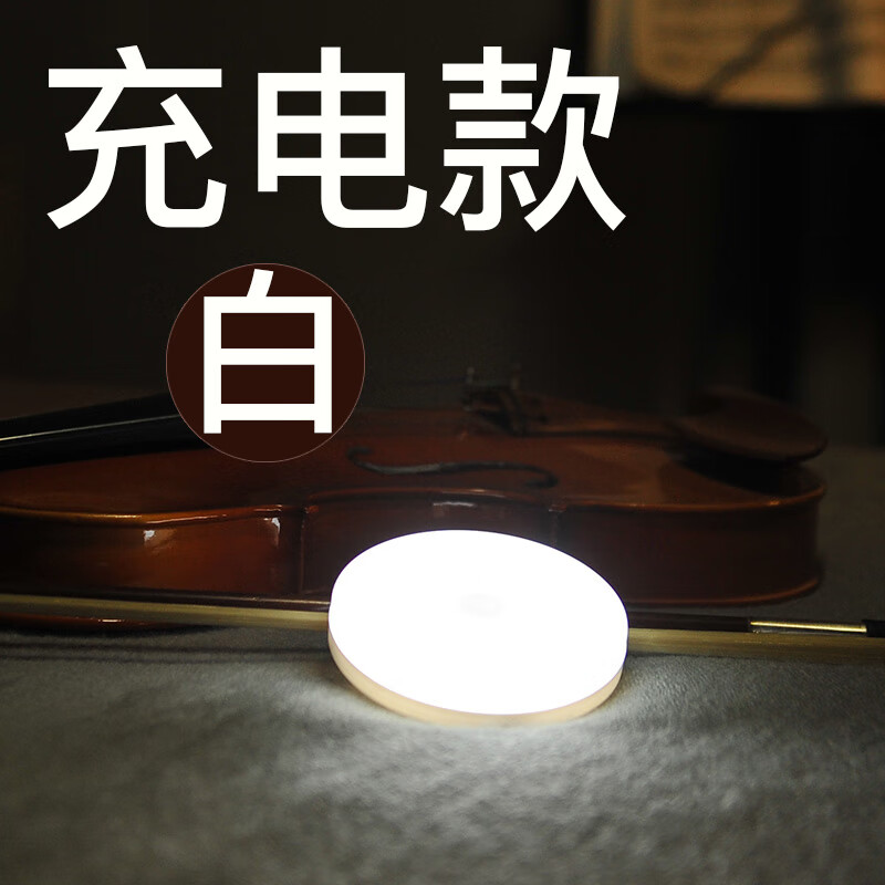 梓宇充電式壁燈led感應(yīng)小夜燈智能充電起夜燈人體感應(yīng)走廊樓道衛(wèi)生間 人體感應(yīng)款白光
