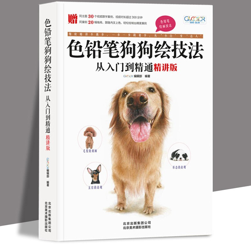 彩铅画入门教程 色铅笔狗狗绘技法从入门到精通精讲版 零基础自学