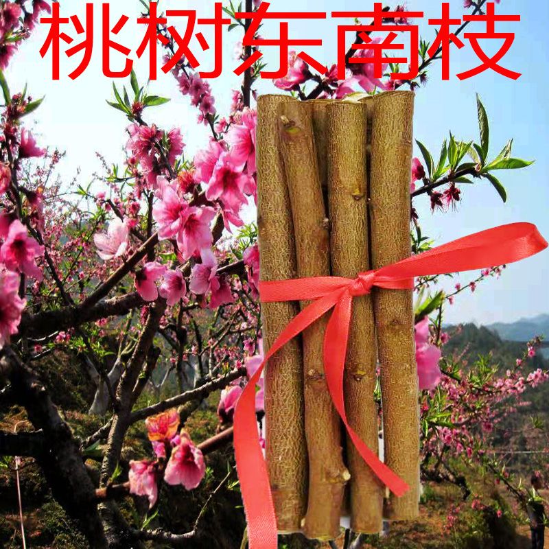 桃木棍 桃树东南枝桃木枝条婴幼儿孕妇惊吓夜晚啼哭原木棍挂件桃木棒
