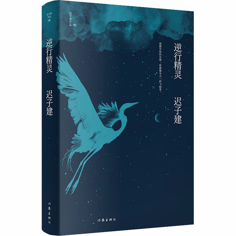 自选 迟子建散文集 作品集 逝川+北极村