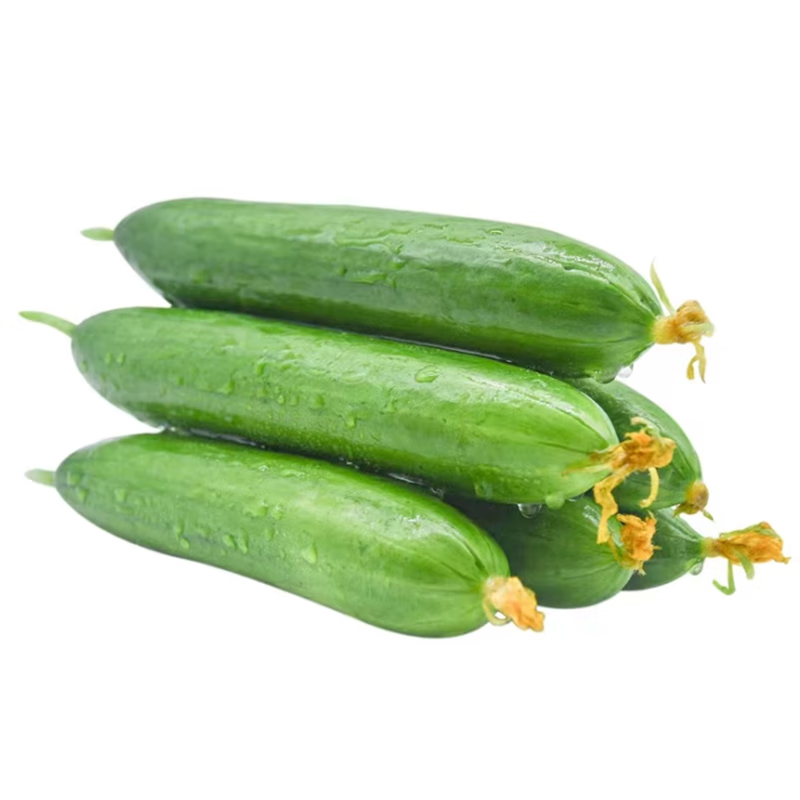 保鲜美味!果萌芽茄果瓜类商品趋势价格分析