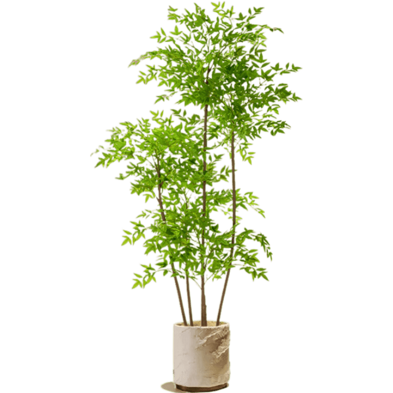 δŷ�����������ֲ�߶���������װ�μٻ������������ط���ֲ������ ������1.5�ס��鶯�ԭ��