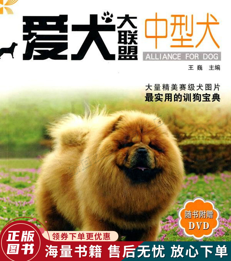 爱犬大联盟：中型犬