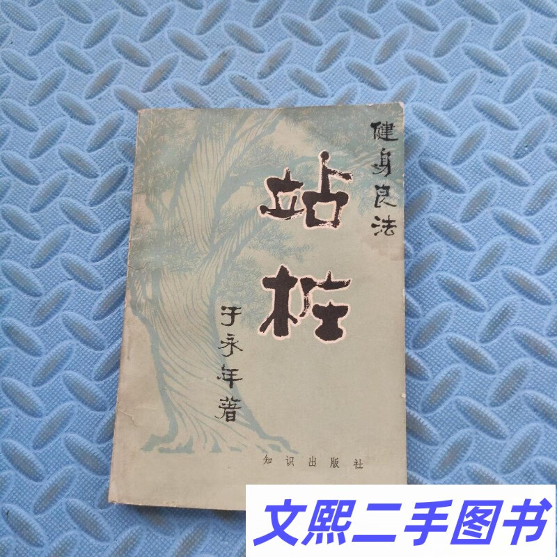 e健身良法 站桩 /于永年 正版旧书
