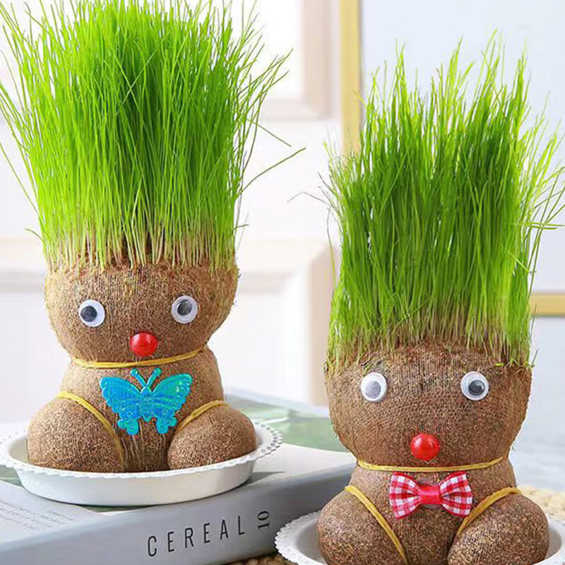 绿植盆栽历史价格查询京东|绿植盆栽价格走势