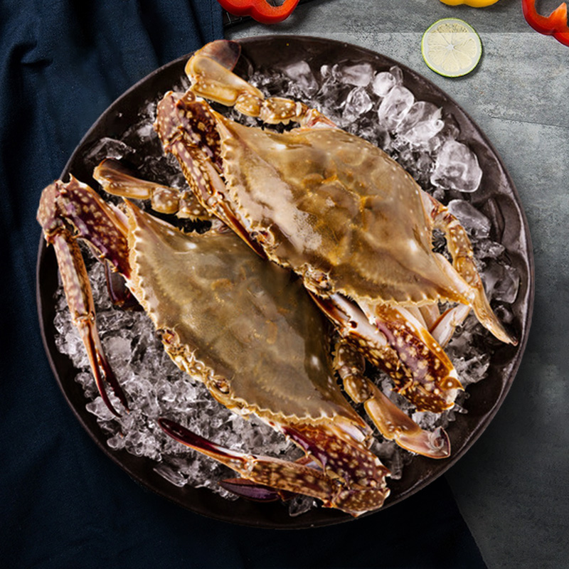 伯贤 舟山冷冻梭子蟹海鲜水产新鲜大螃蟹海蟹花蟹飞蟹4斤左右