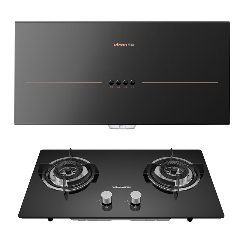 ��ͣ�Vanward����ʽ��������̻�ȼ�������װ �����̻�����������װ ���̻� H05GS+B3L20(��Ȼ��)