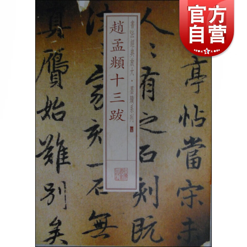 SZ】书法经典放大·墨迹系列---赵孟頫兰亭十三跋