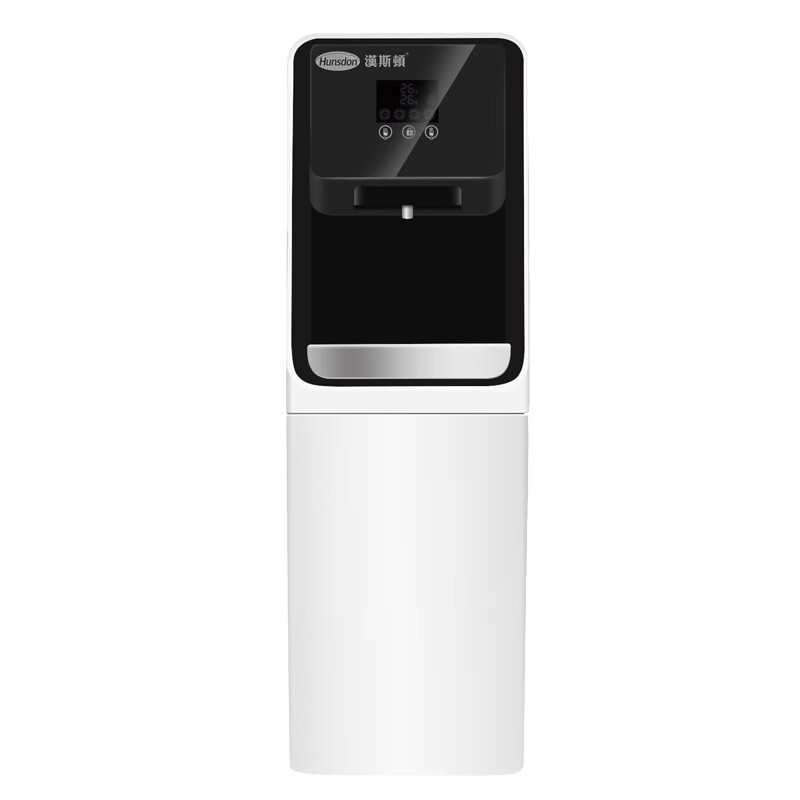 汉斯顿净水器工业商用净饮一体机直饮立式冰热净水机hsd-02-100g 白色
