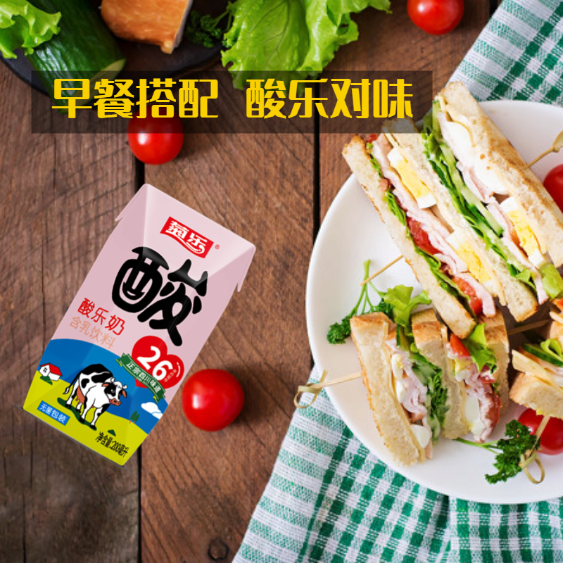 食怀菊乐酸乐奶200ml*10早餐含乳饮品新鲜乳酸饮料无菌【尝新装】 200