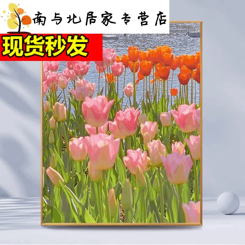 30*40彩色护眼画板整套 郁金香a2346【绷好内框】