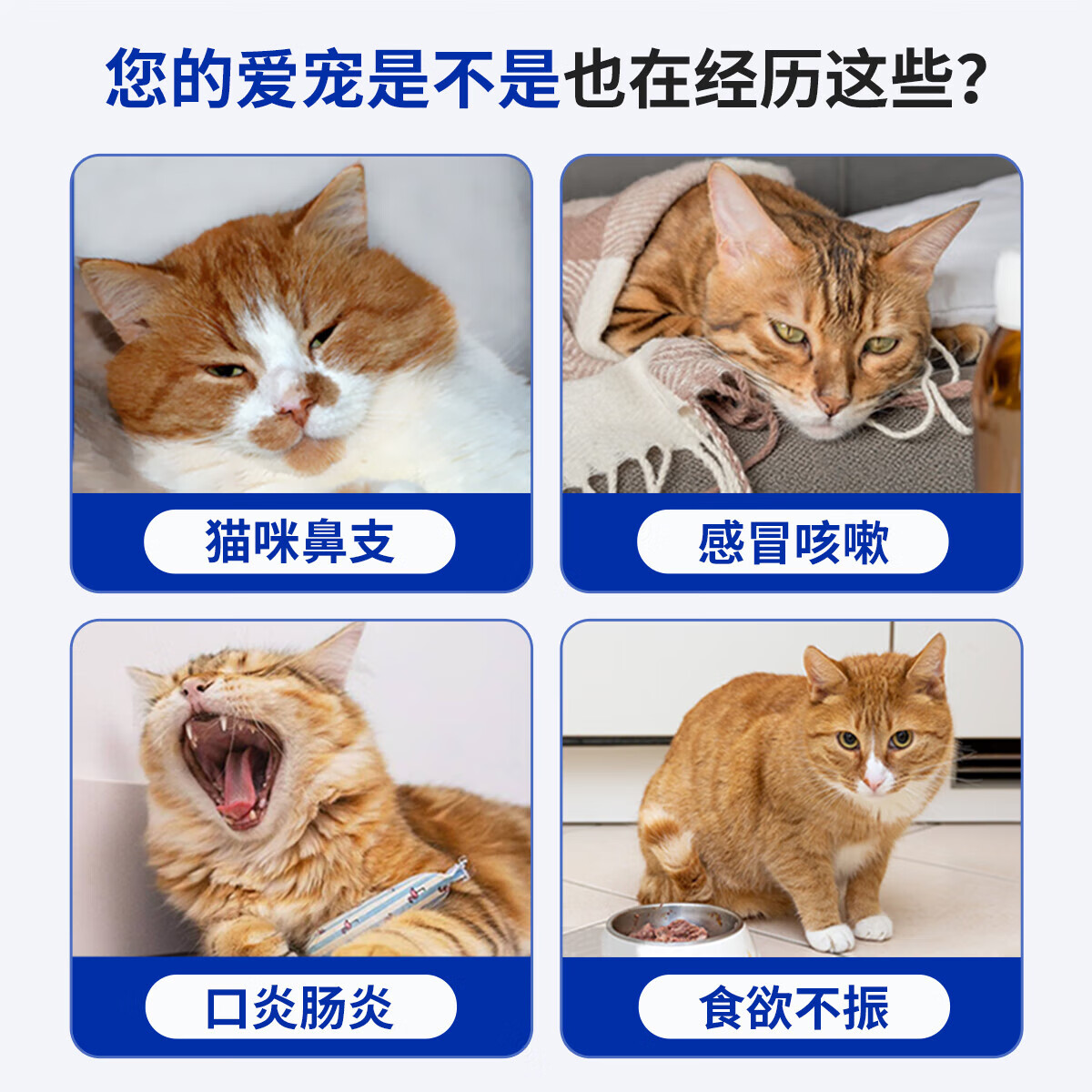 Angelamiao巧克力膏猫鼻支猫狗感冒咳嗽营养补充剂 1支装