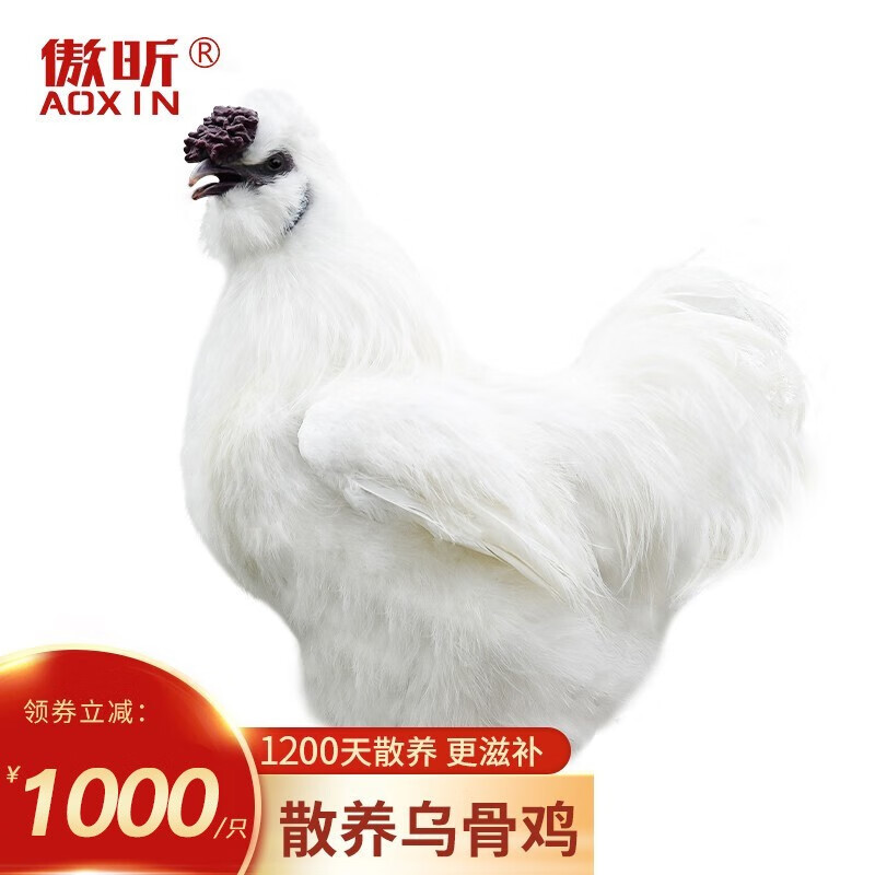 傲昕360天正宗原種泰和白鳳烏雞新鮮現(xiàn)宰現(xiàn)殺老母雞農(nóng)家散養(yǎng)月子煲湯 三年散養(yǎng)原種烏雞