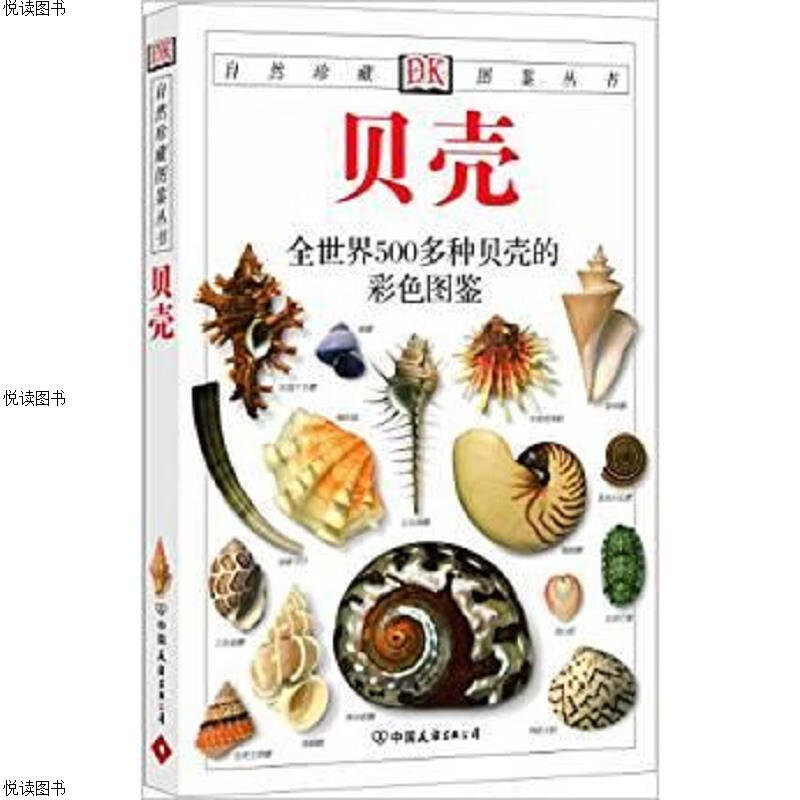 贝壳