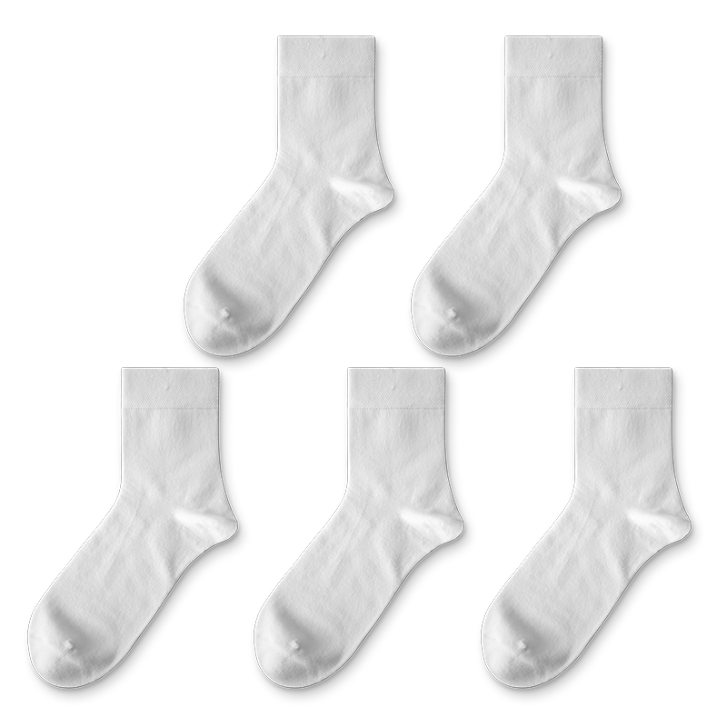 ���ڲ��������ס��������������ﶬ����������͸������������Ͳƽ���� 5�� 23.4Ԫ(������)