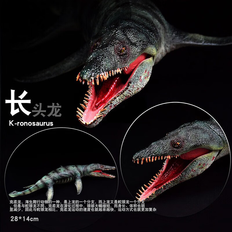 实心仿真动物大号霸王龙剑龙暴龙模型摆件男孩礼物 长头龙【28*14cm】