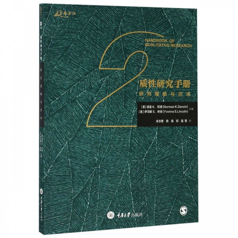 质性研究手册(研究策略与艺术)
