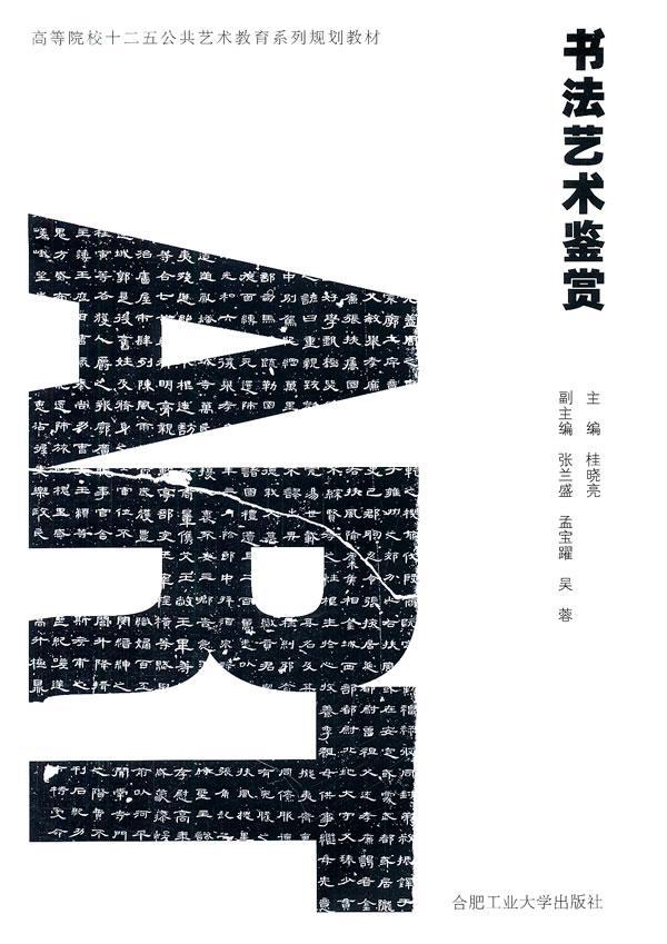 书鉴赏桂晓亮合肥工业大学出版社9787565004247 艺术书籍