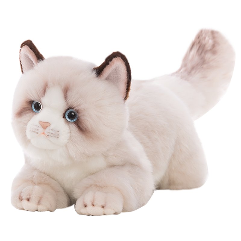 ���ڲ����������� ��żèë����߹�����ż���ްڼ��������˽�������Ů���ѹ��������ͯ���Ů������������