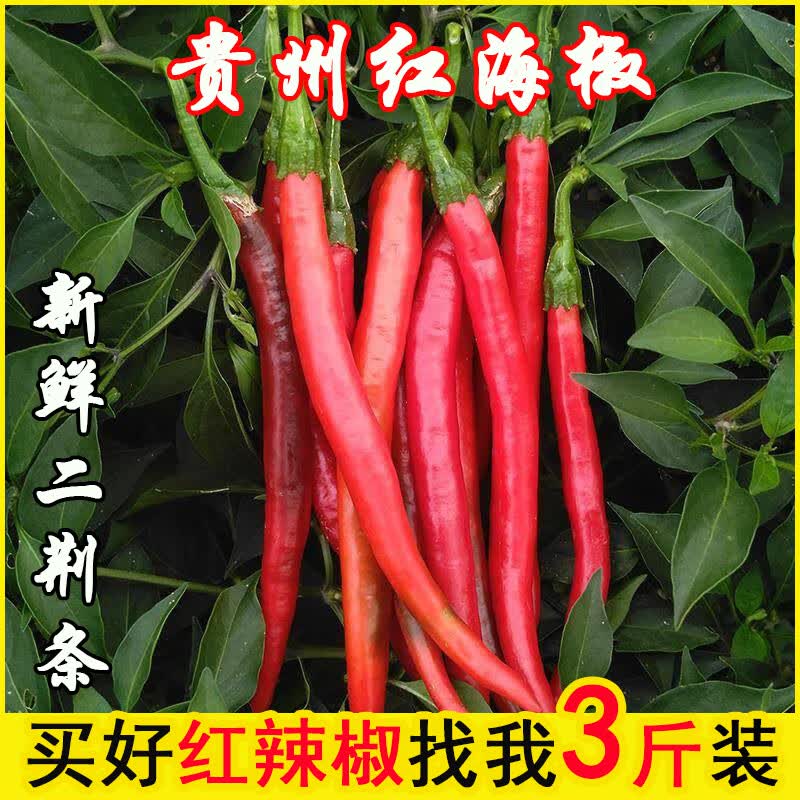 贵州新鲜红辣椒二荆条红线椒红椒红青椒红尖椒做剁椒辣椒酱泡椒用 2斤