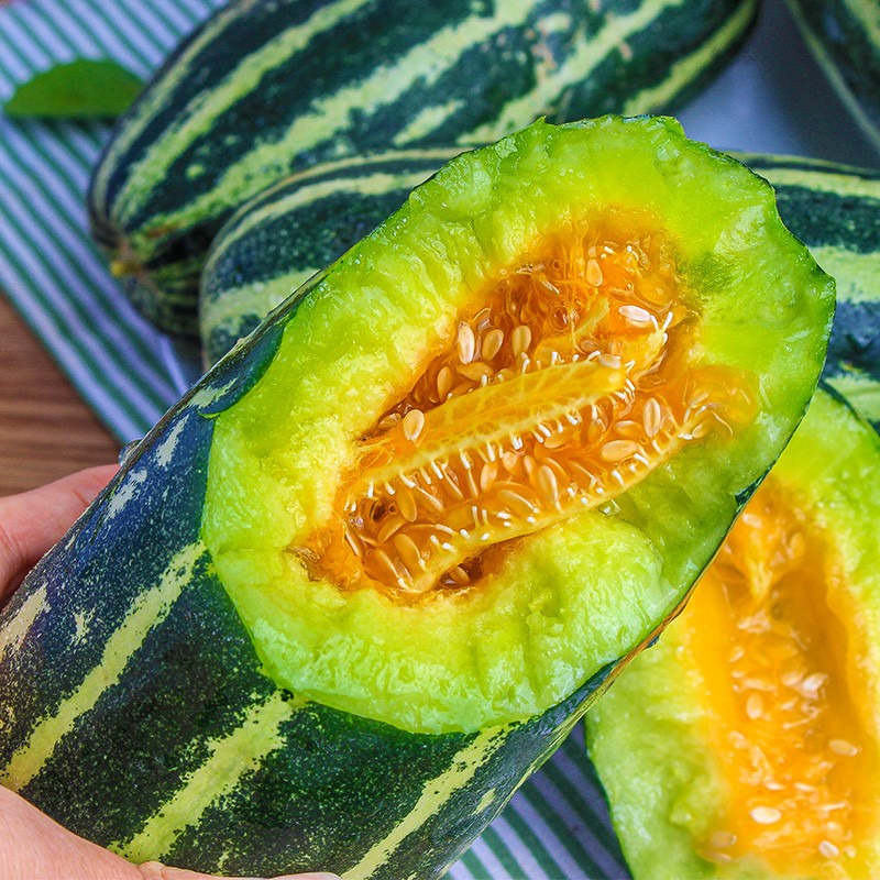 青尊园东北博洋9号香瓜当季新鲜脆蜜小香瓜博洋甜瓜 精选3斤尝鲜装