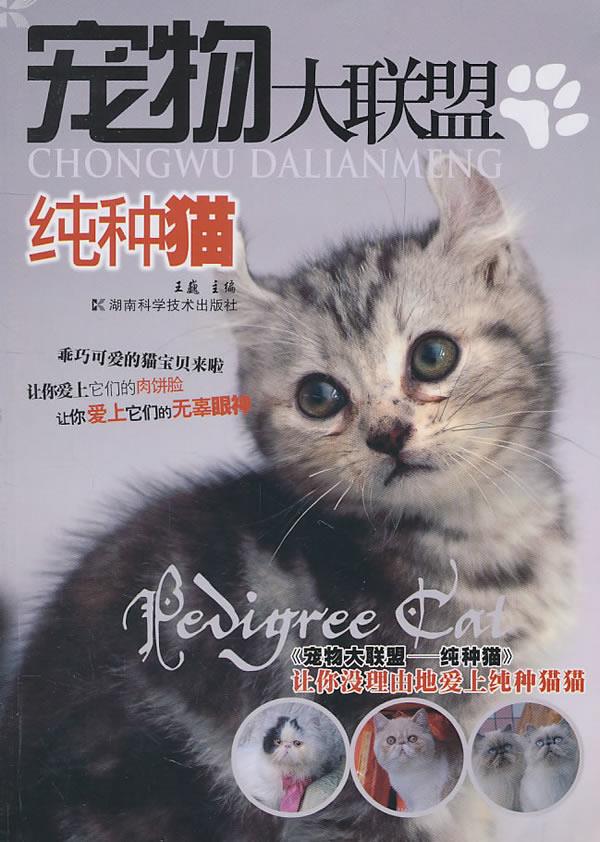 宠物大联盟-纯种猫