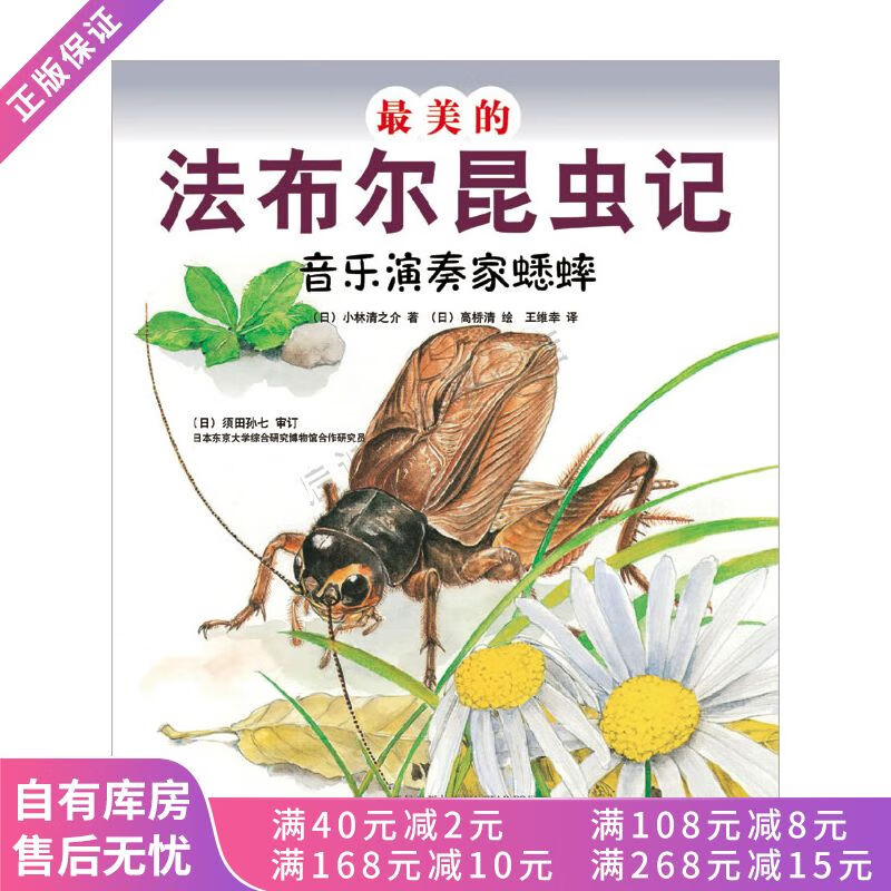 上新 音乐演奏家蟋蟀