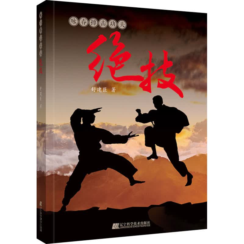 咏春搏击功夫绝技 图书