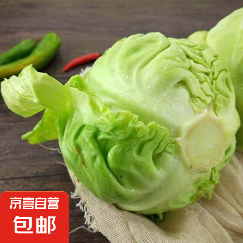 ���ʰ���ũ�ұ����̸�����Բ�ײ˵����߲˾��Ĳ�ʱ���԰��Ĳ� 5��