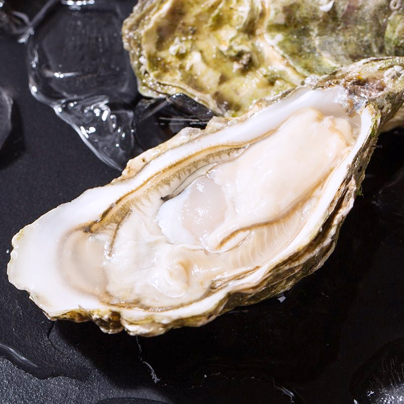好客山东 生蚝鲜活5斤海鲜水产乳山海蛎子新鲜牡蛎带壳大贝壳 1 (60g