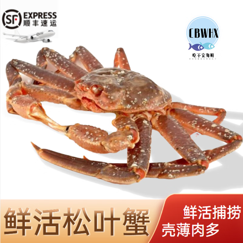 蟹类价格走势图分析|蟹类价格走势