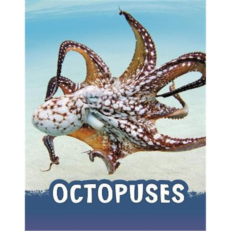 预订octopuses