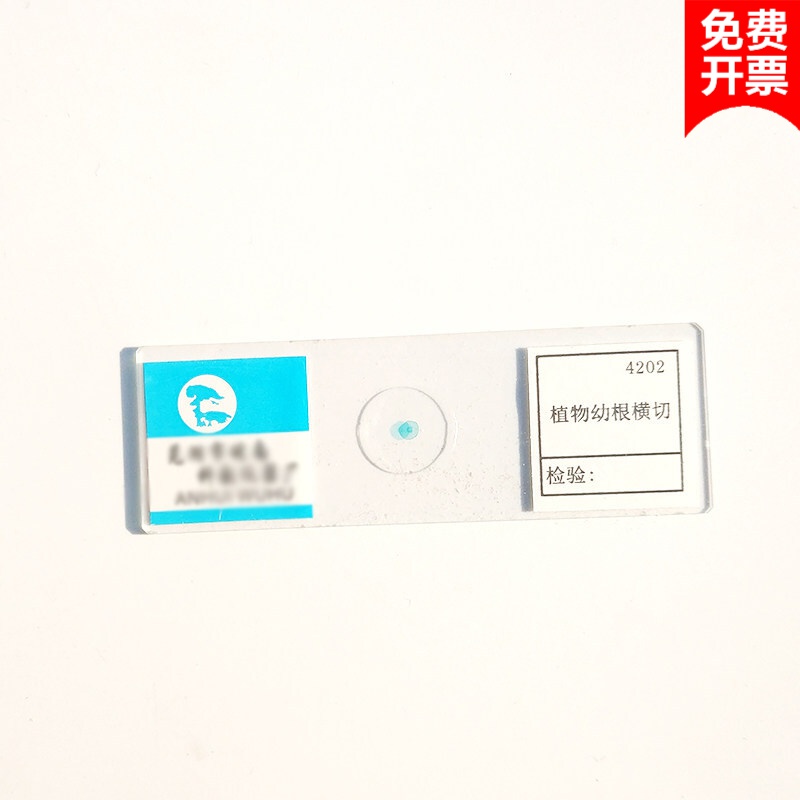 生物切片标本 显微镜玻片标本套装 初中学生儿童学生动物植物细胞