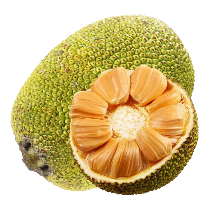 ���� Խ�Ͻ��ں��Ⲥ���� ���� �ɰ����� ����ˮ�� 8-10�� A���˹���ѡ 86.9Ԫ(����ȯ)