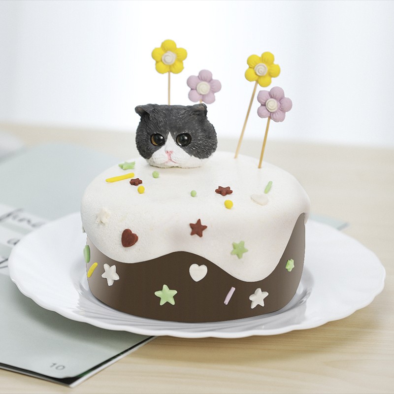 顺丰冷链 苗句宠宠物生日蛋糕自制鸡肉狗零食猫咪蛋糕牛肉狗狗生日蛋糕款式9 咖啡之恋牛肉三文鱼蛋糕mini款 直径8cm 150g 宠物用品批发零售