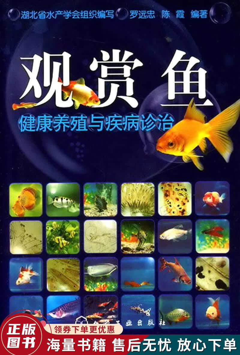 观赏鱼健康养殖与疾病诊治