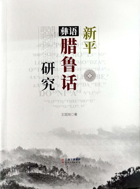 新平彝语腊鲁话研究文化彝语研究新平彝族傣族自治县普通大众图书