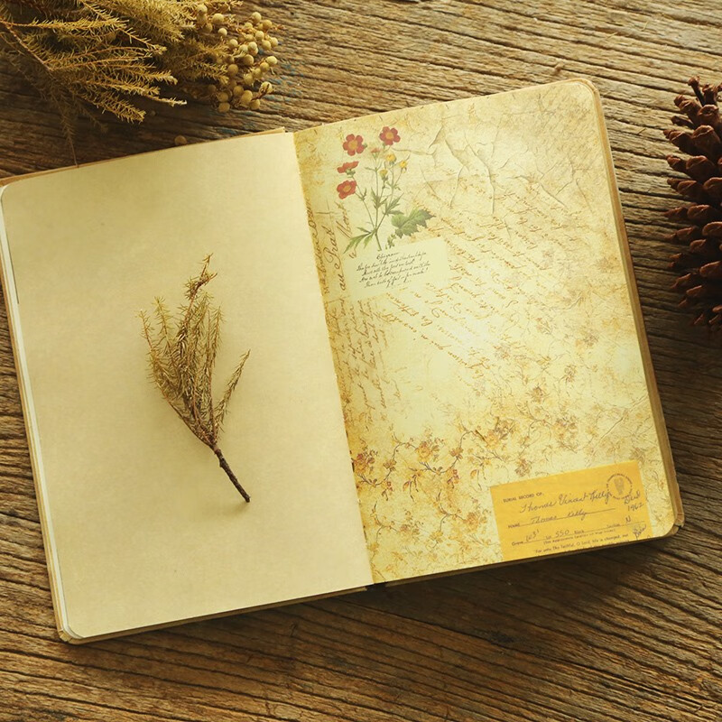 日记本加厚记事本唯美插画牛皮纸笔记本创意手绘彩色内页笔记本子