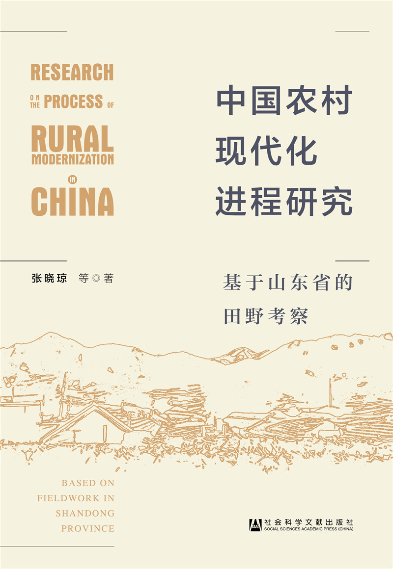 中国农村现代化进程研究