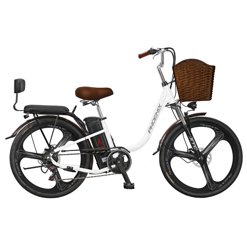 ˵г﮵ص綯г˴ͨڵ綯Ůʿ˴ƿ絥 24һ/7/ɫ 48V20AH綯60 2499Ԫ