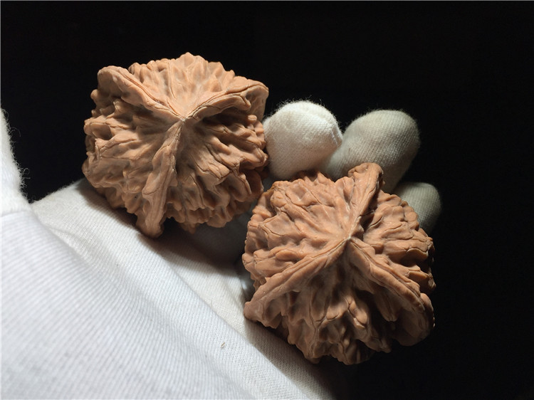 异形三棱正奔白狮子头特大收藏级50mm把玩【收藏级】盘山公子帽34mm