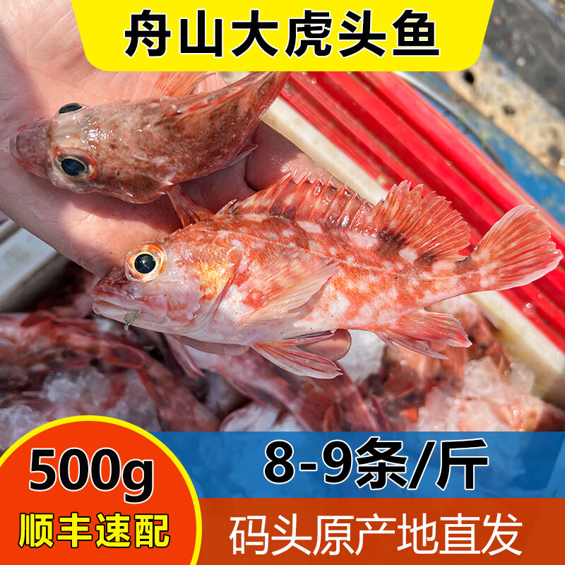 舟山东海海钓石翁鱼石九公虎头鱼小红斑 新鲜海鲜水产海捕海鱼 1斤(9