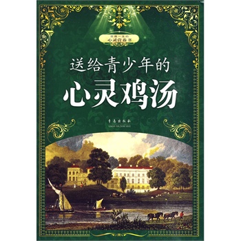 送给亲少年的心灵鸡汤【正版】