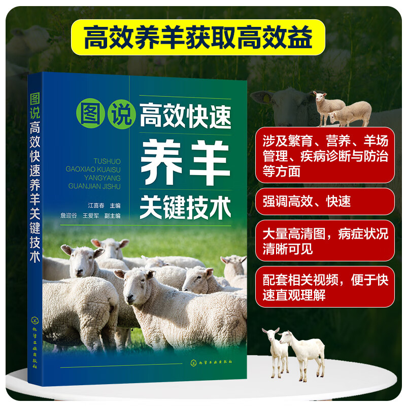 图说高效快速养羊关键技术