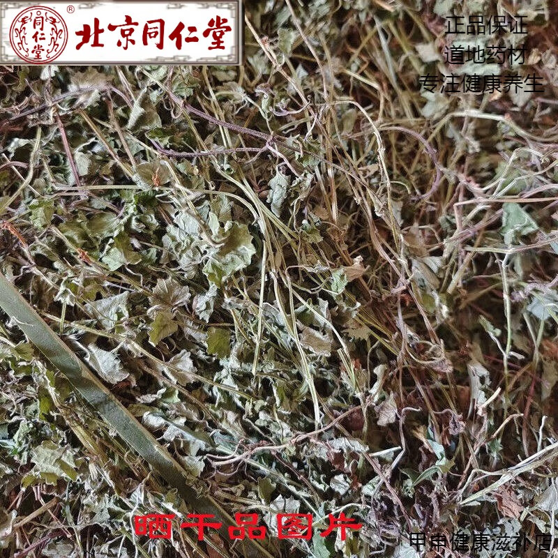 北京同仁堂野生中藥材透骨消 連錢(qián)草 金錢(qián)草 hou血丹 連線草銅錢(qián)草新鮮500克 曬干品透骨消500克